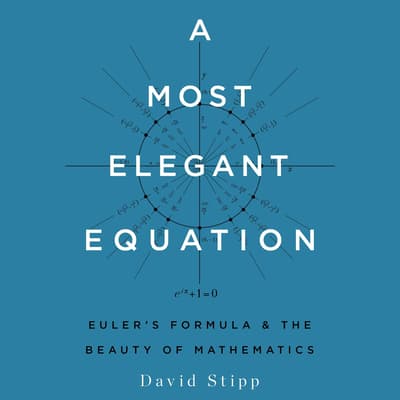 A Most Elegant Equation by David Stipp audiobook