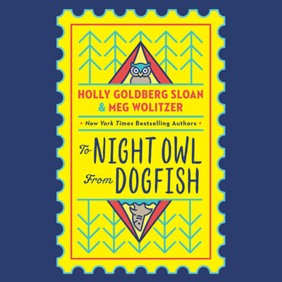 To Night Owl from Dogfish by Holly Goldberg Sloan audiobook