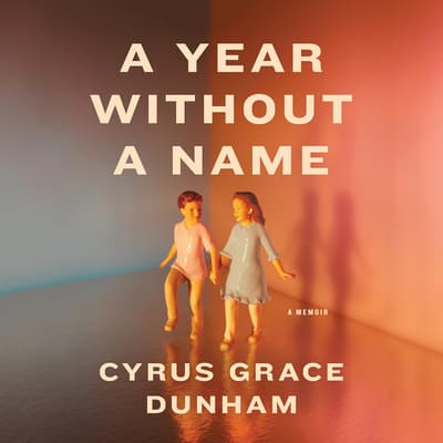 A Year Without a Name by Cyrus Grace Dunham audiobook