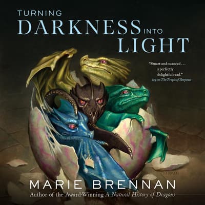 Turning Darkness Into Light by Marie Brennan audiobook