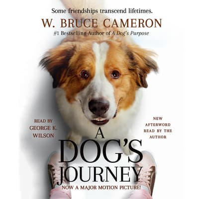 A Dog’s Journey by W. Bruce Cameron audiobook