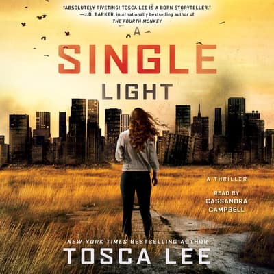 A Single Light by Tosca Lee audiobook