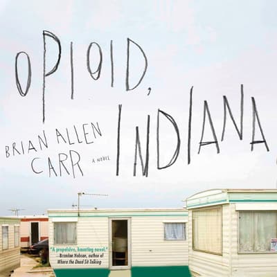Opioid, Indiana by Brian Allen Carr audiobook