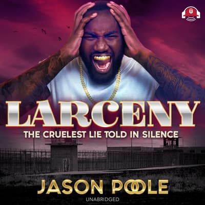 Larceny by Jason Poole audiobook