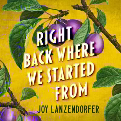 Right Back Where We Started From by Joy Lanzendorfer audiobook