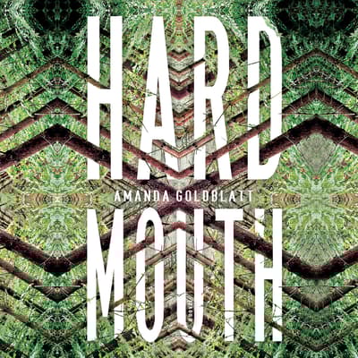 Hard Mouth by Amanda Goldblatt audiobook