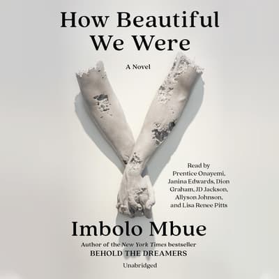 How Beautiful We Were by Imbolo Mbue audiobook