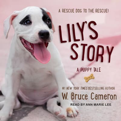 Lily's Story by W. Bruce Cameron audiobook