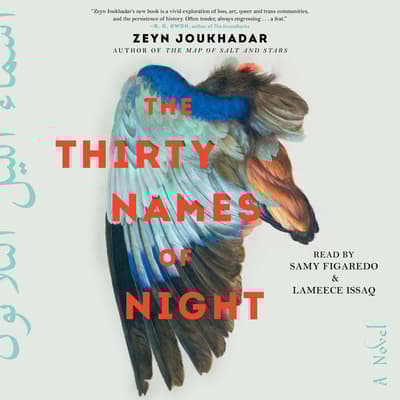 The Thirty Names of Night by Zeyn Joukhadar audiobook