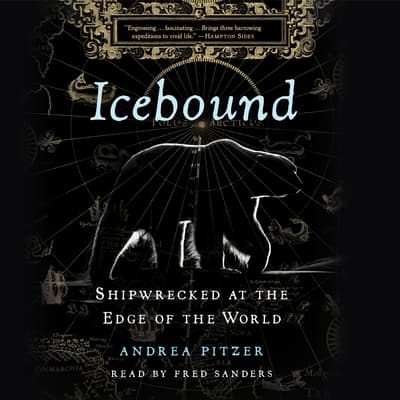 Icebound by Andrea Pitzer audiobook