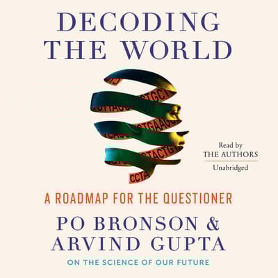 Decoding the World by Po Bronson audiobook