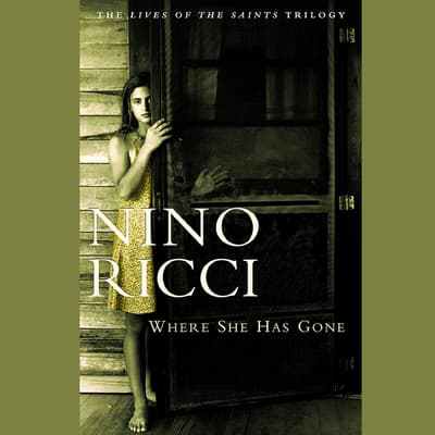 Where She Has Gone by Nino Ricci audiobook