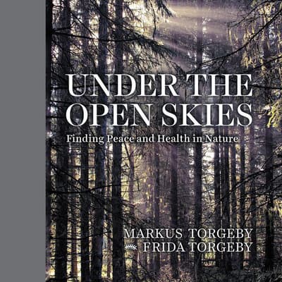 Under the Open Skies by Markus Torgeby audiobook