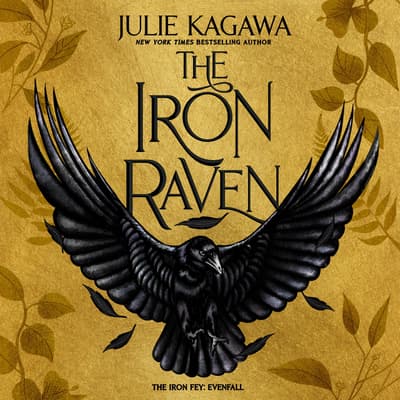 The Iron Raven by Julie Kagawa audiobook