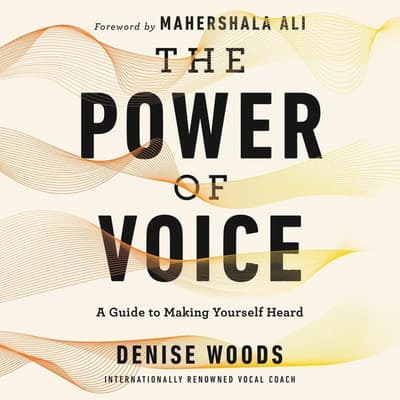 The Power of Voice by Denise Woods audiobook