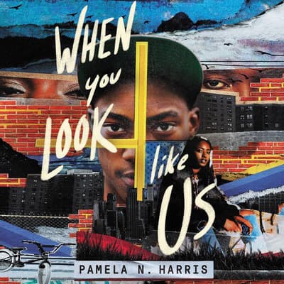 When You Look Like Us by Pamela Harris audiobook
