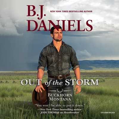 Out of the Storm by B. J. Daniels audiobook