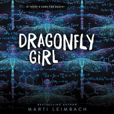 Dragonfly Girl by Marti Leimbach audiobook