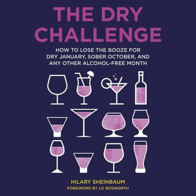 The Dry Challenge by Hilary Sheinbaum audiobook