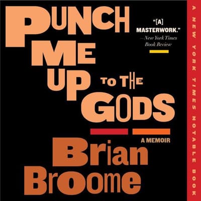 Punch Me Up to the Gods by Brian Broome audiobook