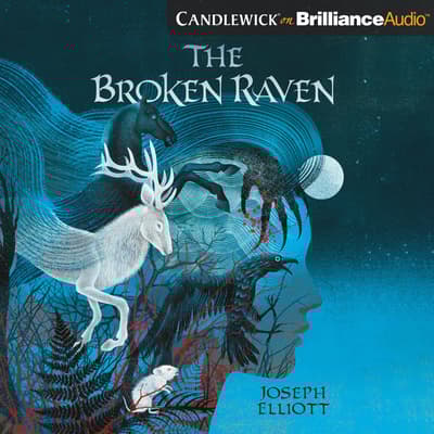 The Broken Raven by Joseph Elliott audiobook