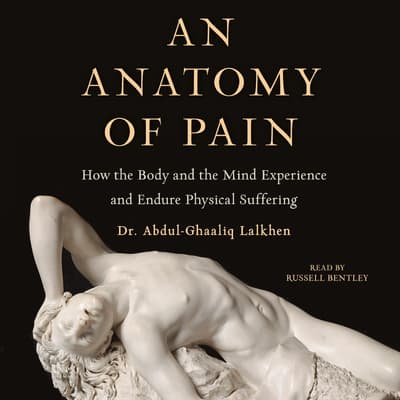 An Anatomy of Pain by Abdul-Ghaaliq Lalkhen audiobook