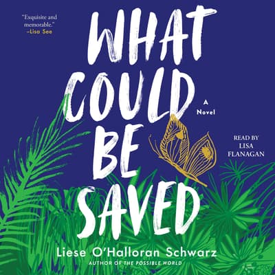 What Could Be Saved by Liese O'Halloran Schwarz audiobook