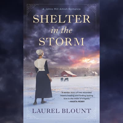 Shelter in the Storm by Laurel Blount audiobook