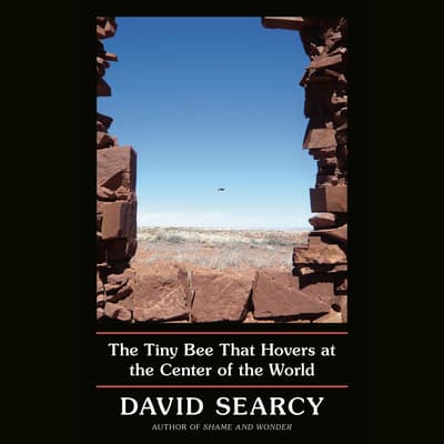 The Tiny Bee That Hovers at the Center of the World by David Searcy audiobook