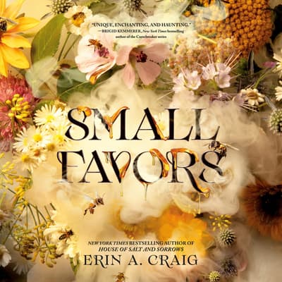 Small Favors by Erin A. Craig audiobook