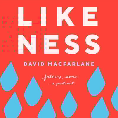 Likeness by David Macfarlane audiobook