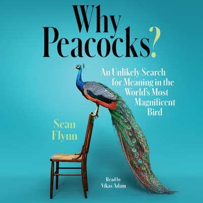 Why Peacocks? by Sean Flynn audiobook