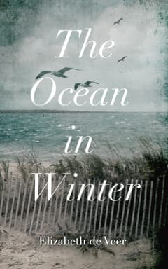 The Ocean in Winter By Elizabeth de Veer