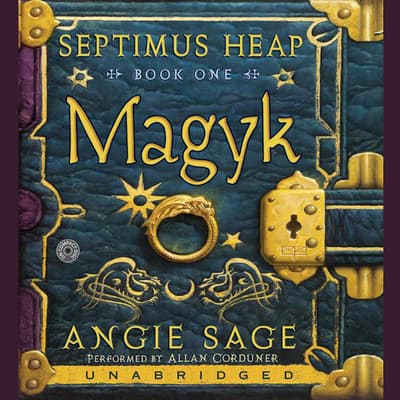 septimus heap books