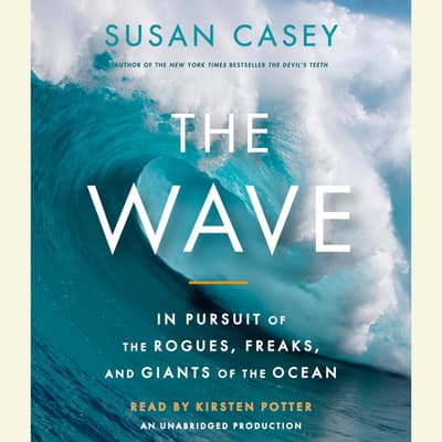 the wave susan casey review