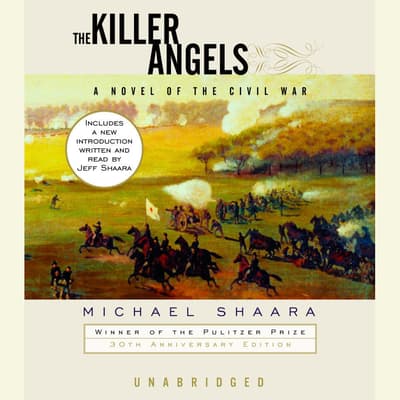 the killer angels book