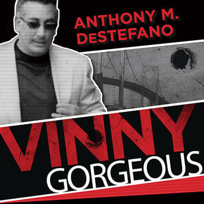 Vinny Gorgeous Audiobook Written By Anthony M Destefano