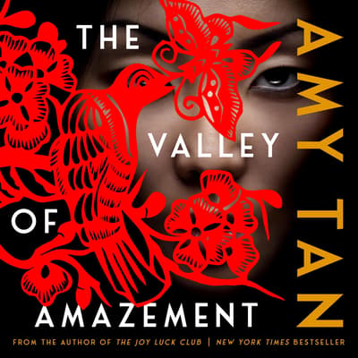 the valley of amazement story