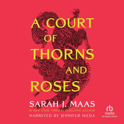 A court of thorns and roses series book 3 - myiplm