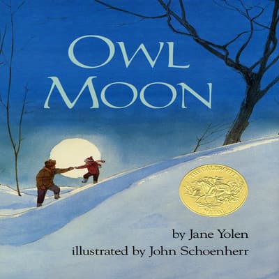 owl and moon book