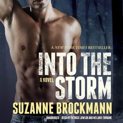 The Storm Breaks by Julia Brannan