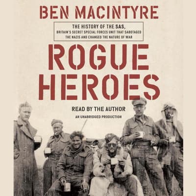 rogue heroes book