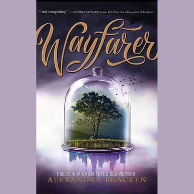 wayfarer alexandra bracken