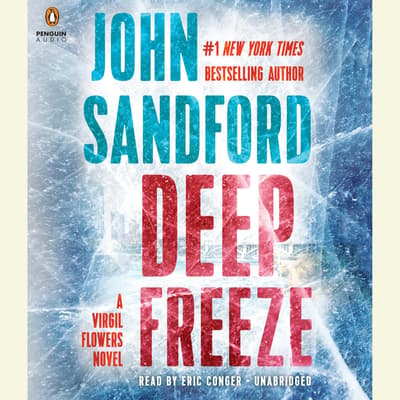 deep freeze by john sandford