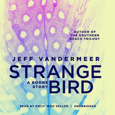 jeff vandermeer the strange bird