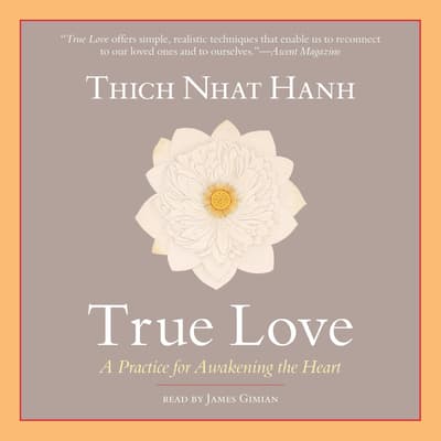 download searching for true love