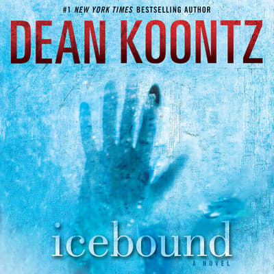 Ice Bound by Jerri Nielsen