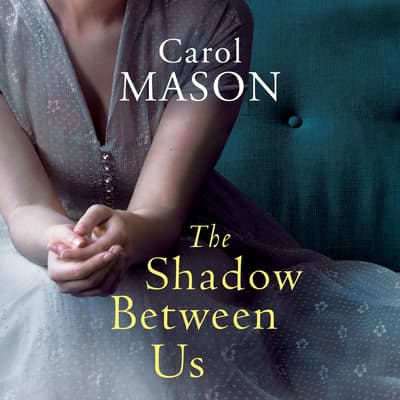the shadow between us book