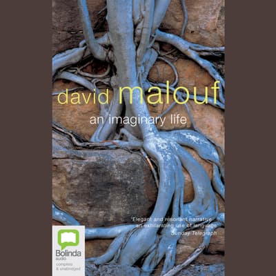 ransom david malouf audio book
