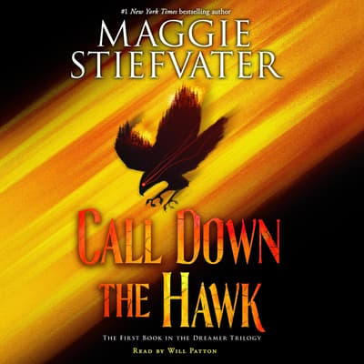 call down the hawk by maggie stiefvater